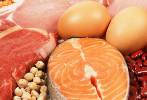 The Power of Protein for Rapid Fat Loss